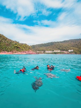 Redang, Malaysia - May 11, 2022: Group of tourists are snorkeling together on a tour. clipart
