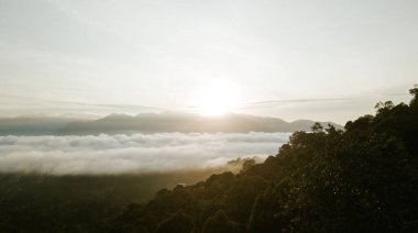 Dağın doğuşuyla yağmur ormanlarının yakınında bulut denizi var..