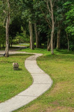Yürüme yolu ve güneşli bir günde yeşil bölge ağaçları olan bir şehir parkı..