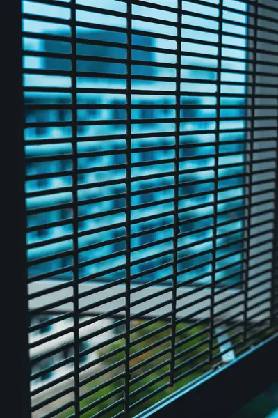 Closeup View Climb Grill Attached Window Apartment Security House — Stock Photo, Image