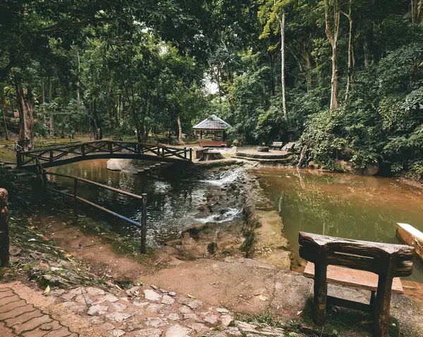 Liten Bäck Mossig Trädgård Nära Kelam Grottan Perlis Malaysia — Stockfoto