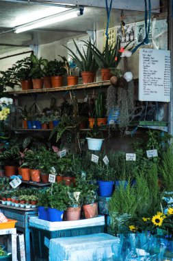 CAMERON HIGHLAND, MALAYSIA - 16 Sep 2022 Kea Farm 'daki yerel markette satılık bir sürü bitki ürünü.