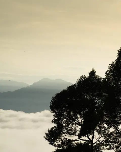 槟城冷宫提旺萨山上空金色日出时的海云 免版税图库照片