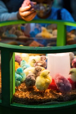 Bir grup renkli hatunun bulanık fotoğrafı tek bir kap..