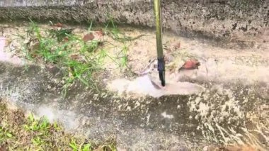 Çöp toplayıcısı kullanarak eski plastik şişeyi kanalizasyondan çıkarmaya çalışıyorum.