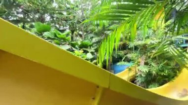 Penang, Malezya - 27 Kasım 2024 Escape Exscape Tema Parkı 'ndaki muz çevirme aktivitesinden sonra su genç çocuğa sıçrıyor