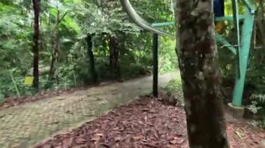 POV yağmur ormanlarındaki aşırı tema parkında hız trenine biniyor.