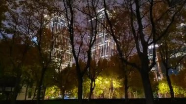 Parkta, POV Şangay, Çin 'deki aydınlık binaların yanında yürüyor.