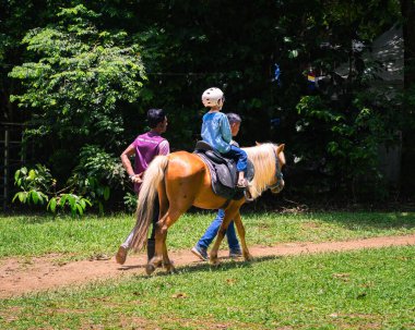 Putrajaya, Malezya - 19 Eylül 2024 Küçük bir kız at bakıcısıyla birlikte minyatür bir ata biniyor.