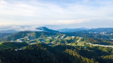 Cameron Highlands 'daki Dağ Vadisi zıt sabah ışığında.