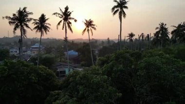 Marang, Trengganu 'daki uzun palmiye ağaçlarının arkasında gün batımı