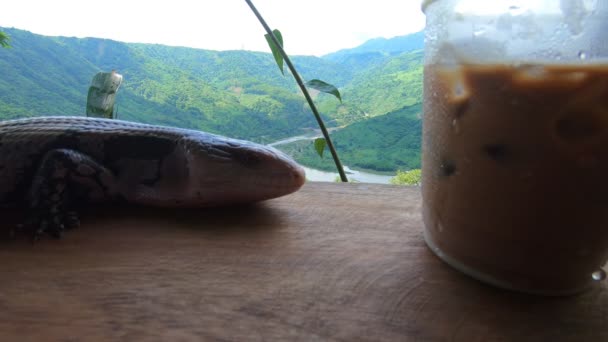 アイスコーヒーのカップの横にあるペットブルーの舌トカゲ 山の背景 高品質のフルHd映像 — ストック動画