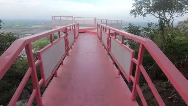 Romantic Viewpoint Pink Hearts Pov Walking Green Fields View Chau — Stockvideo