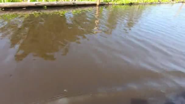 Brudna Woda Odbicie Łodzi Widok Słoneczny Dzień Wysokiej Jakości Materiał — Wideo stockowe