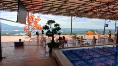 Sersemletici göllere doğru yaklaşan POV yüzme havuzunu ve portakal yapraklı bir ağacı geçiyor. Yüksek kalite 4k görüntü