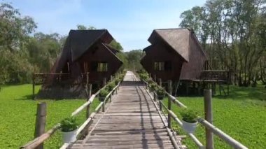 Yeşil bir mangrov ormanında tahta bir köprüde yürüyorum. Ahşap evler. Ulusal park. Güneşli bir gün. Yüksek kaliteli FullHD görüntüler