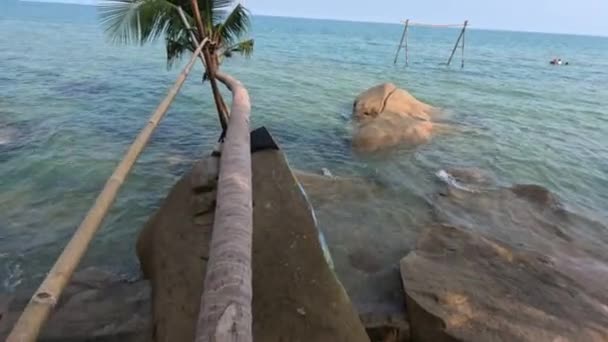 Spacerując Pochyłej Palmie Nad Morzem Tropikalnej Wyspie Lai Son Wietnamie — Wideo stockowe
