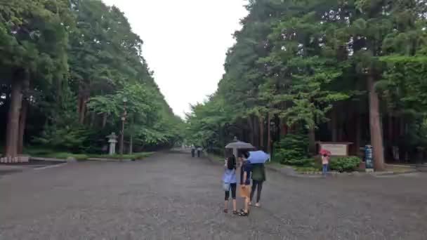 Parque Lluvia Grandes Árboles Verdes Japón Personas Bajo Paraguas Gota — Vídeos de Stock