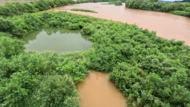 Pequeño Lago Limpio Rodeado Agua Sucia Del Río Pov Una — Vídeos de Stock