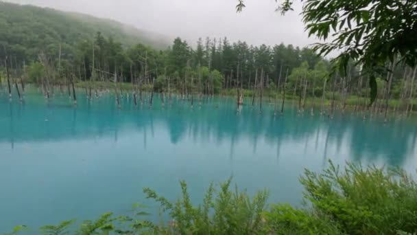 Impresionante Hermoso Shirogane Blue Pond Biei Hokkaido Japón Día Nublado — Vídeo de stock