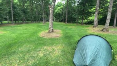 Yeşil bir kamp alanında çadır. Ahşap kulübeler. Urahoro Orman Parkı Hokkaido Japonya. Yüksek kalite 4k görüntü