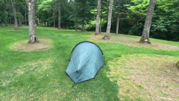 Ett Tält Grön Campingplats Trähytter Urahoro Skogspark Hokkaido Japan Högkvalitativ — Stockvideo
