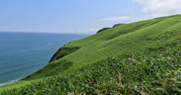 Vista Penhasco Verde Incrível Uma Praia Areia Muroran Hokkaido Japão — Vídeo de Stock