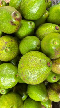 Yerel markette bir sürü yeşil avokado. Salata ya da meyve suyu için sağlıklı taze meyve