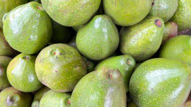 Yerel markette bir sürü yeşil avokado. Salata ya da meyve suyu için sağlıklı taze meyve