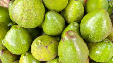 Yerel markette bir sürü yeşil avokado. Salata ya da meyve suyu için sağlıklı taze meyve