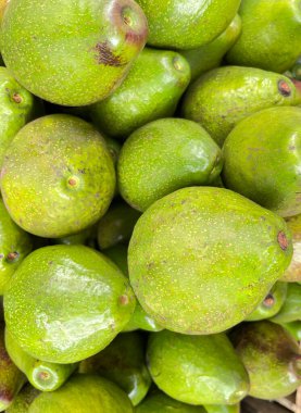 Yerel markette bir sürü yeşil avokado. Salata ya da meyve suyu için sağlıklı taze meyve