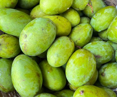 Kweni mangosu veya mangifera odorata, dünyanın en güzel kokulu mango meyvesi.