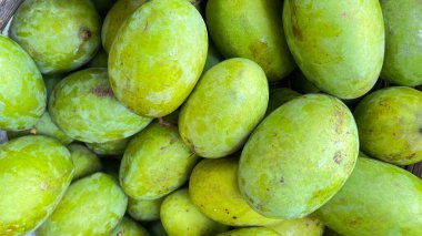 Kweni mangosu veya mangifera odorata, dünyanın en güzel kokulu mango meyvesi.