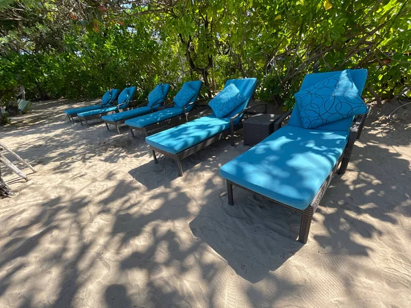 Lounge chairs or beach chairs on white sand beach in hot summer day in luxury tropical hotel or resort. Travel, tourism, holiday, vacation concept. Palm trees, greenery