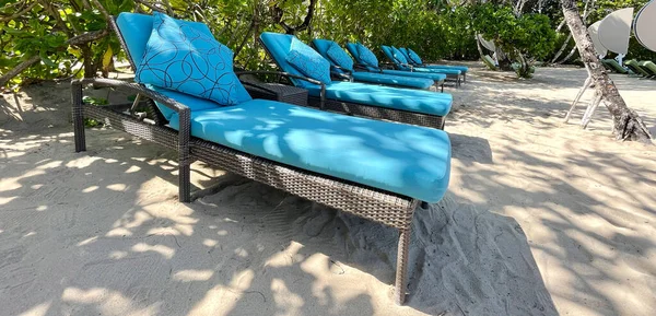 Lounge chairs or beach chairs on white sand beach in hot summer day in luxury tropical hotel or resort. Travel, tourism, holiday, vacation concept. Palm trees, greenery