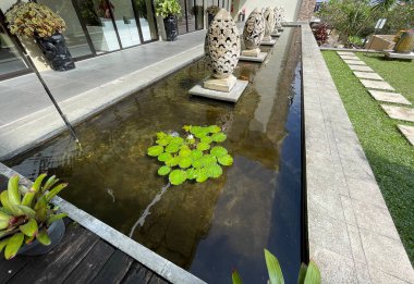 Selective focus of koi fish pond or brocade carp, with lotus plant on the water in modern pond design