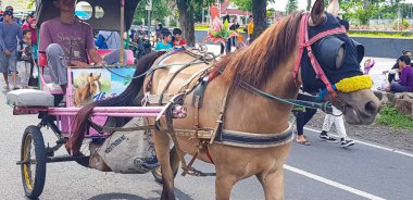 Surakarta, Endonezya, 8 Ocak 2023 Dokar Wisata ya da savaş arabası gezisi, Surakarta, merkez java 'da pazar günü serbest araba alanında yolcuları bekliyor.