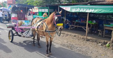 Surakarta, Endonezya, 8 Ocak 2023 Dokar Wisata ya da savaş arabası gezisi, Surakarta, merkez java 'da pazar günü serbest araba alanında yolcuları bekliyor.