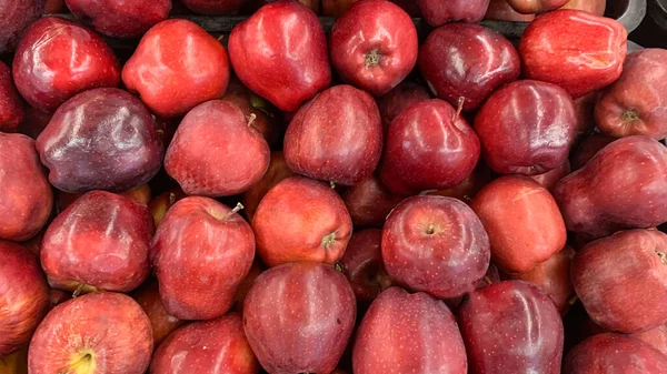 사과는 유기농 과일로 이루어진 멀티미디어 그룹에 것이다 — 스톡 사진