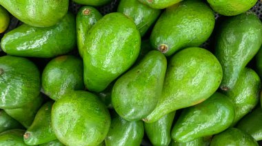 Yerel markette taze yeşil avokado, salata, meyve suyu veya guacamole için sağlıklı taze meyve.