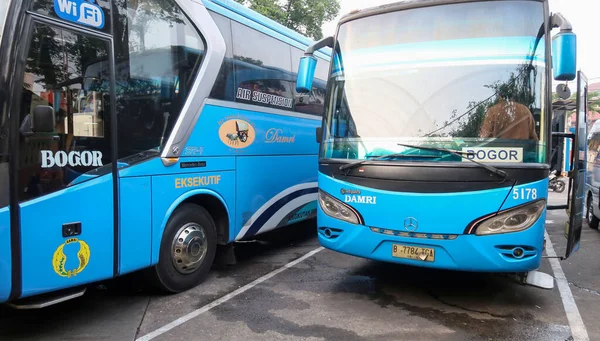 Surakarta Jawa Tengah Indonesia Julio 2023 2020 Autobuses Autocares Indonesia — Foto de Stock