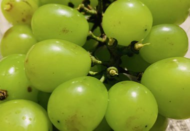 Çekirdeksiz yeşil Muscat üzümlü arka plan kabın içinde. Japon üzümleri. beyaz üzümler yerel üretim