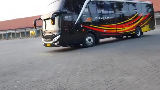 Τζακάρτα Ινδονησία Οκτωβρίου 2019 Διάφορα Υπεραστικά Λεωφορεία Πούλμαν Νησί Της — Αρχείο Βίντεο