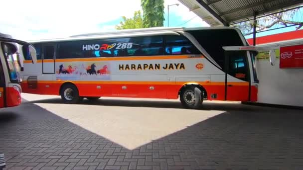 Джакарта Индонезия Октября 2019 Различные Междугородние Автобусные Автобусные Перевозки Острове — стоковое видео