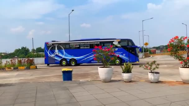 ジャカルタ インドネシア 10月 2019 ジャワ島インドネシアのさまざまな都市間バスまたはコーチ輸送 多くの異なるカラースキーム — ストック動画