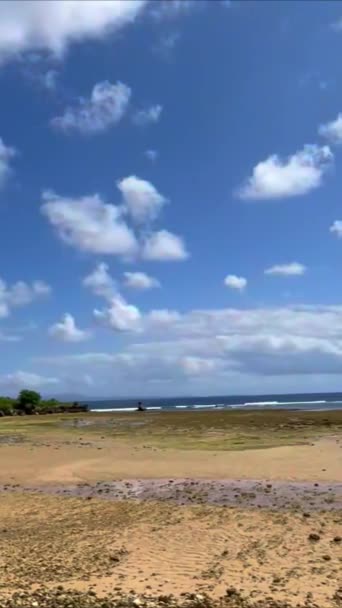 Piękny Tropikalny Ocean Falą Błękitnym Niebem — Wideo stockowe