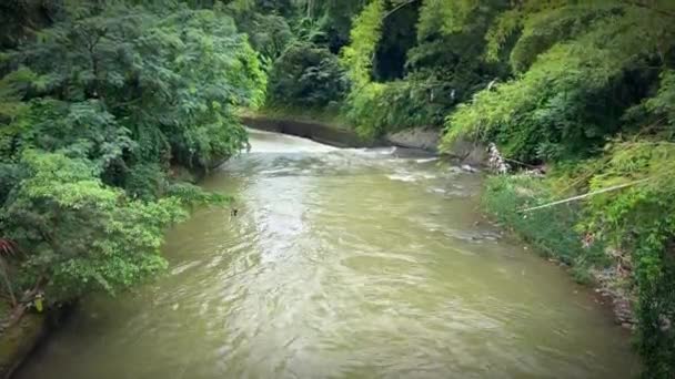 Fluxo Rio Natural Floresta Tropical Bogor Ásia Belo Cenário Água — Vídeo de Stock