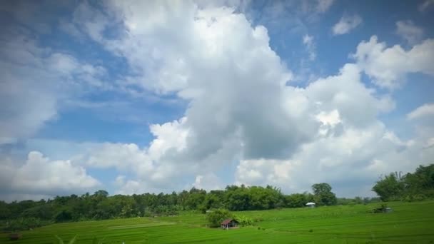 インドネシアの熱帯島の背景にある山々と緑色の牧草地の美しい風景 — ストック動画