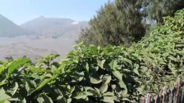 Güneş doğarken Bromo Dağı 'nın güzel manzarası, Doğu Java, Endonezya, Tanrı' nın doğa resmi.