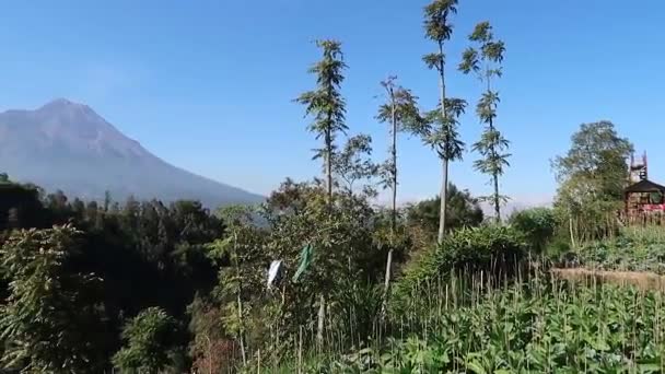 Widok Majestatyczny Wulkan Merapi Góry Merbabu Nad Tropikalnym Krajobrazem Centralnej — Wideo stockowe